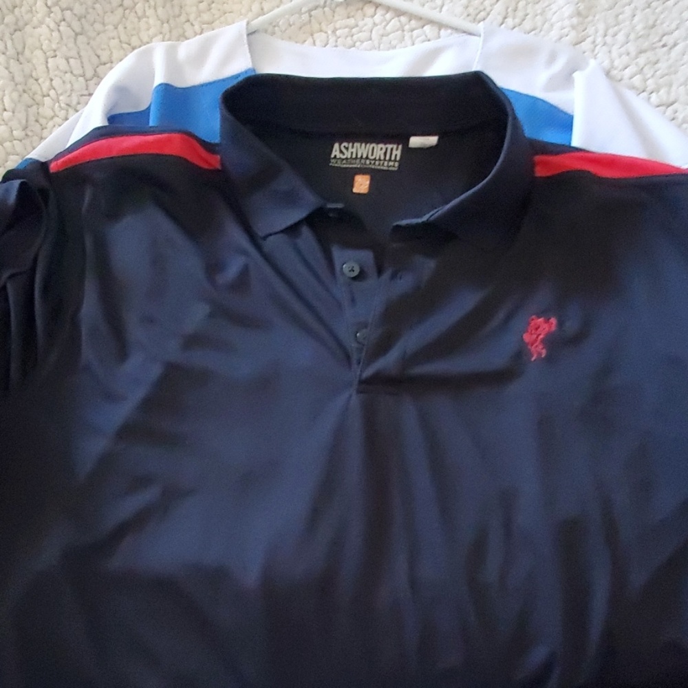 Ashworth Polo